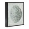 Stupell Industries Grey Sand Dollar Seashell Framed Giclee Art